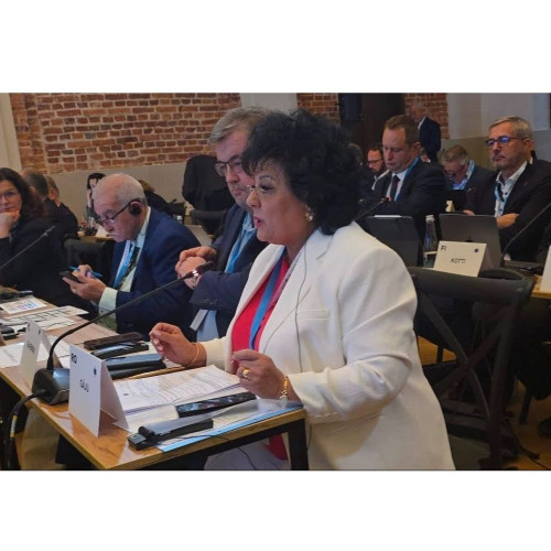 Mariana Gâju susține planul european pentru energie accesibilă și o tranziție justă