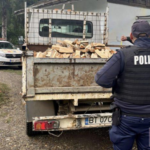 Acțiune a poliției în județul Botoșani pentru prevenirea infracțiunilor în domeniul silvic