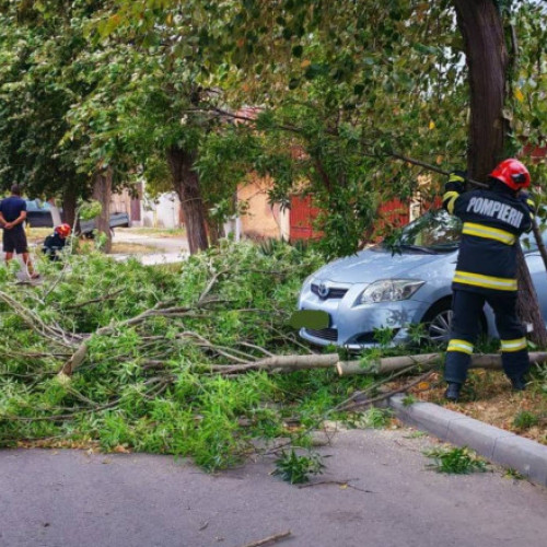 Pompierii au intervenit în București pentru copaci și construcții periculoase din cauza vremii extreme