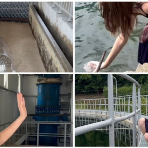 Compania de apă Someș din Cluj devine virală pe TikTok cu videoclipuri educative