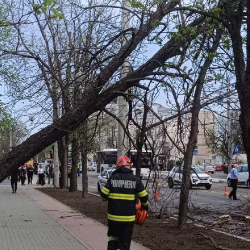 ISU Bucureşti-Ilfov a intervenit în 36 de cazuri din cauza vântului puternic