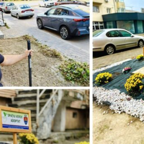Băcăuanii pot amenaja spațiile verzi, dar un exemplu al primarului stârnește controverse