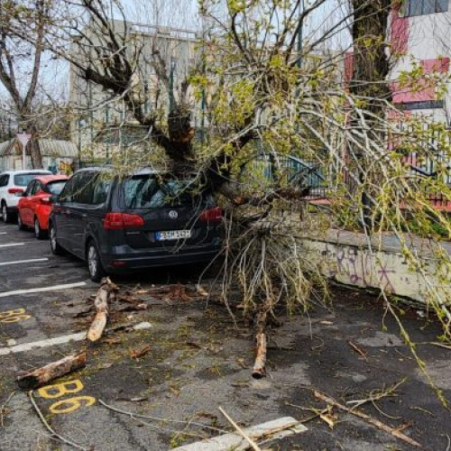 Vântul puternic a provocat pagube și 36 de intervenții în București și Ilfov