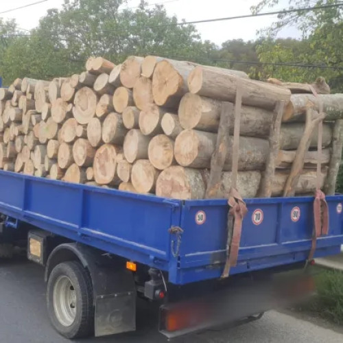Poliția din Dej a confiscat peste 4,5 metri cubi de lemn în controale împotriva comerțului ilegal