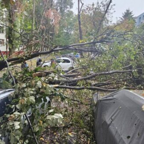 90 de intervenții ale pompierilor în București și Ilfov din cauza codului portocaliu de vânt
