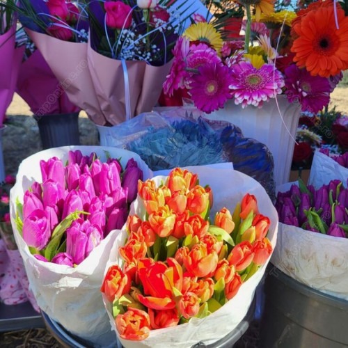 Primăria Bistrița pregătește o zonă specială pentru vânzătorii de flori de 1 noiembrie