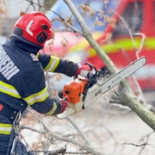 IGSU intervine pentru evacuarea apei și degajarea copacilor doborâți de vijelie