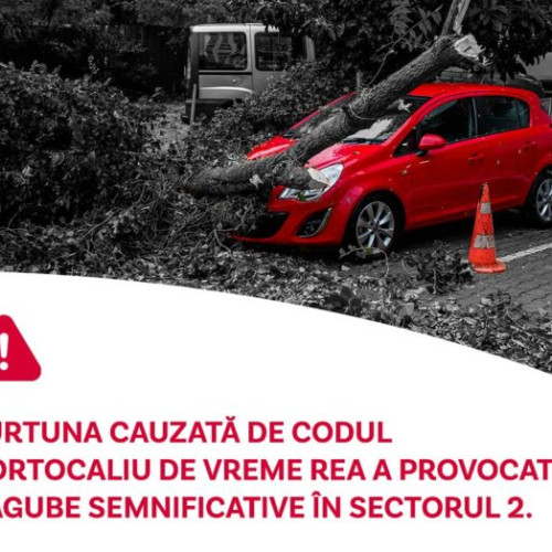 Furtuna în Sectorul 2 a cauzat prăbușirea a 33 de copaci și daune materiale