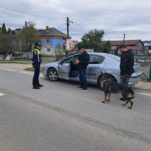 Acțiune blocada în Târgu Lăpuș pentru prevenirea infracționalității și traficului de droguri