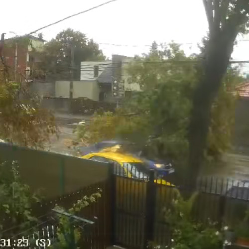 Un copac doborât de vânt a căzut peste o mașină în trafic pe Șoseaua Luica