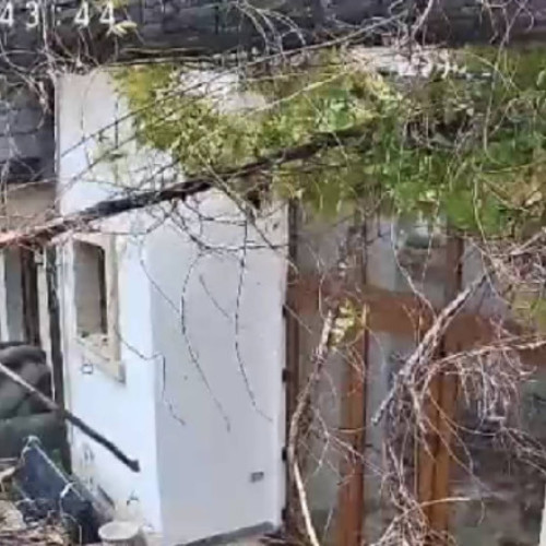 Copac doborât de vânt peste o casă din București în zi de cod portocaliu