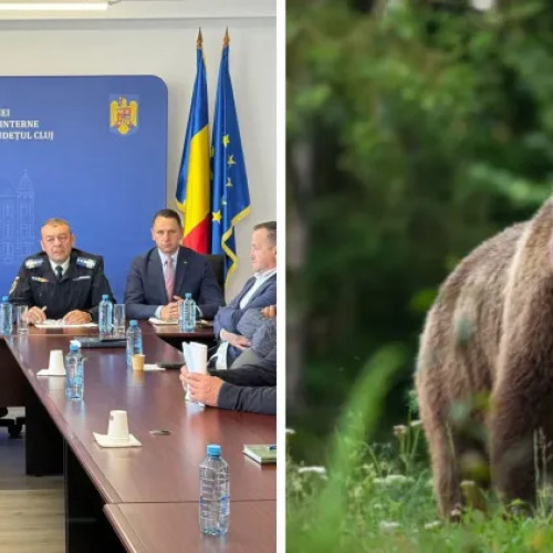 Prefectura Cluj solicită modificări urgente pentru gestionarea atacurilor urșilor