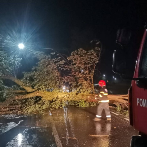 Precipitații abundente în Oltenia și Argeș-Vedea, fără depășirea cotelor de apărare