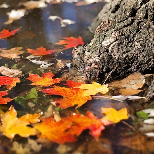 Prognoza meteo pentru octombrie indică temperaturi normale și precipitații variabile