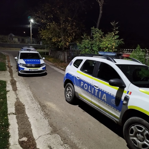 Bărbat din Botoșani condamnat pentru tentativă de omor după ce și-a lovit vecinul cu o bărdiță