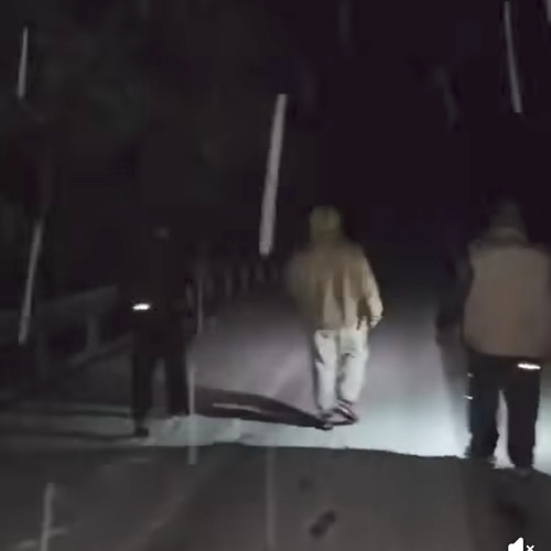 Cinci persoane surprinse înzăpezite în Parâng, salvate de jandarmi