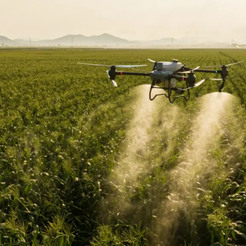 Fermierii din Iași ar putea folosi drone pentru tratamente fitosanitare