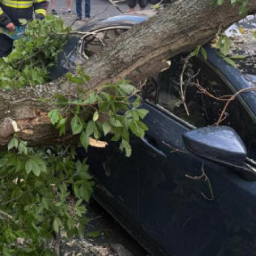 351 de intervenţii ale pompierilor după codul portocaliu în Bucureşti şi Ilfov