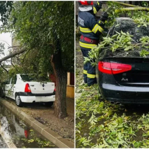 Vântul puternic doboară sute de copaci și avariază peste 160 de mașini în București și Ilfov