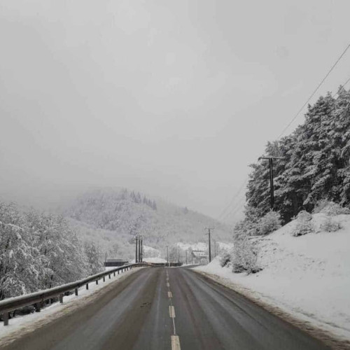 Echipele de intervenție au deblocat drumul către Păltiniș după ninsoare și arbori căzuți