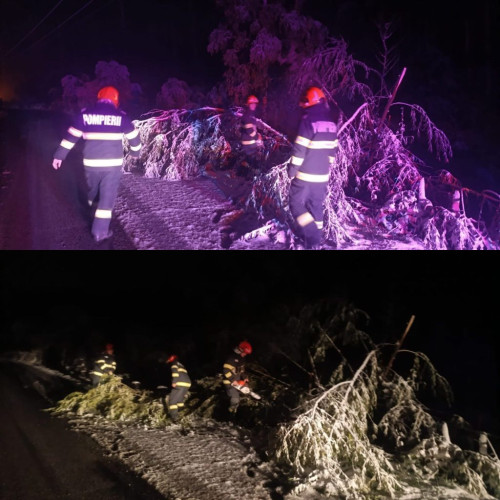 ISU Hunedoara a intervenit pentru degajarea copacilor căzuți pe drumuri din cauza vremii