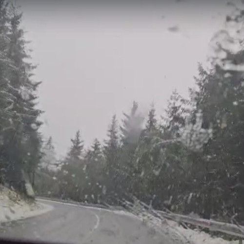Viscol și ninsori în Pasul Prislop afectează circulația pe DN18