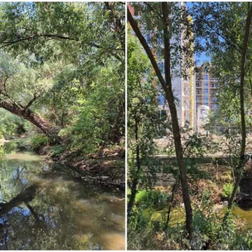 Activist civic propune un master plan pentru transformarea râului Nadăș în parc liniar