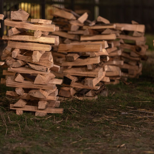 Licitație electronică pentru valorificarea masei lemnoase în Constanța, în 2025