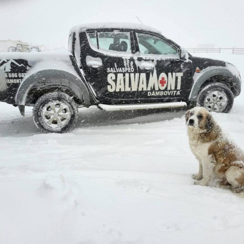 Salvamontiștii din Dâmbovița avertizează turiștii după salvarea a doi israelieni