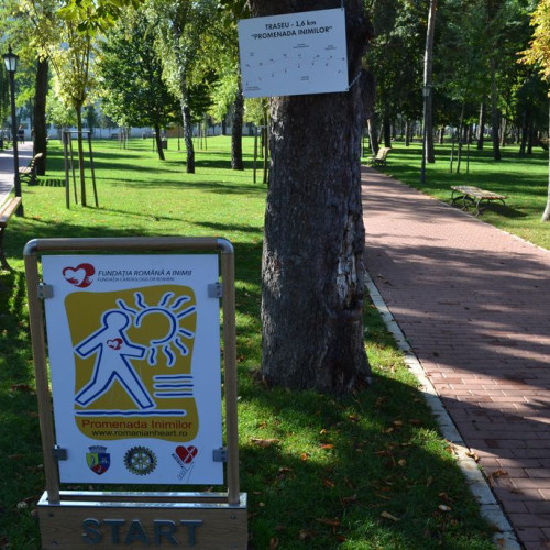Eveniment gratuit pentru sănătate în Parcul Municipal Bistrița pe 5 octombrie