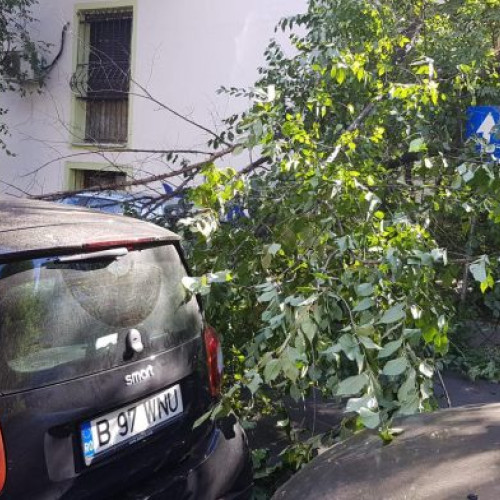 Primăria Sectorului 2 promite despăgubiri pentru mașinile avariate în urma codului portocaliu