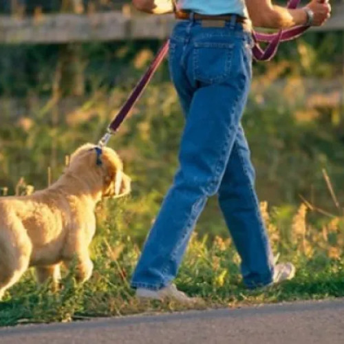 Bărbat agresiv lovind un câine și amenințând stăpâna, scandal în Grigorescu