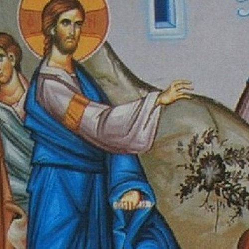 Femeia cananeeancă, exemplu de credință și perseverență în Evanghelia duminicii