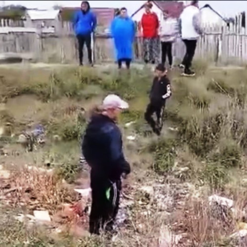 Minor de trei ani ucis de un câine maidanez în Vrancea, confirmă expertiza medico-legală