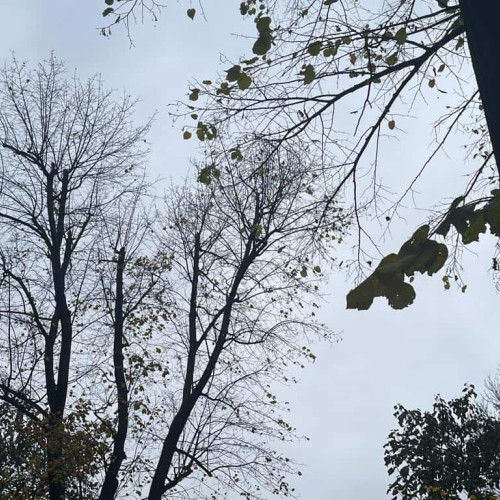 Vremea în Alba săptămâna 6-12 octombrie: intervale cu ploi și temperaturi în scădere