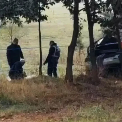 Accident mortal în Bihor: medicul Ana Guț și fratele său și-au pierdut viața