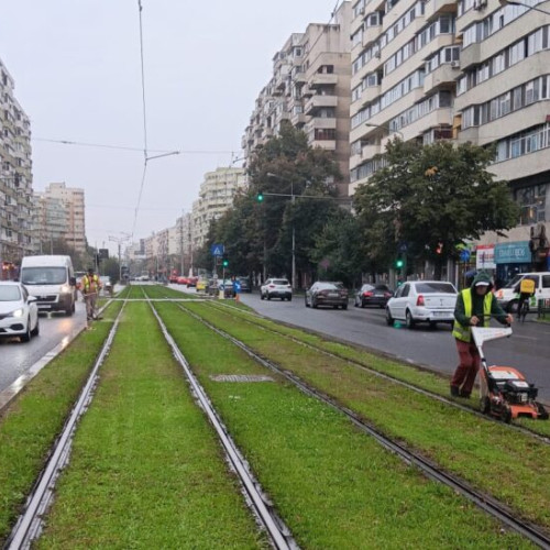 Lucrări de întreținere și igienizare în parcurile din Sector 2