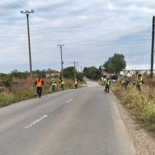 Acțiuni de combatere a ambroziei pe drumurile județene din Ilfov în septembrie 2025