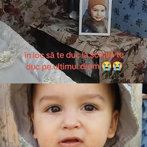 Băiețel de 3 ani ucis de o haită de câini fără stăpân în Mărășești