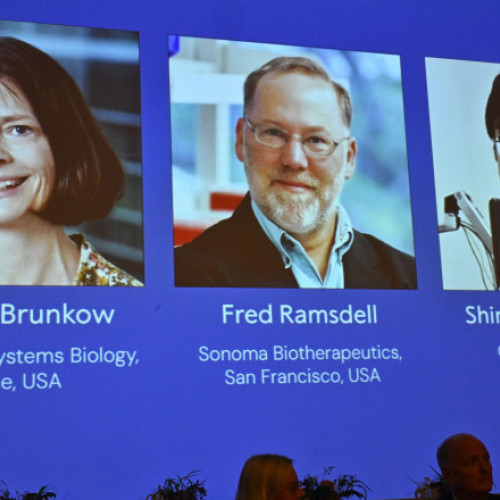 Premiul Nobel pentru medicină 2025, acordat pentru cercetări privind toleranța imunitară