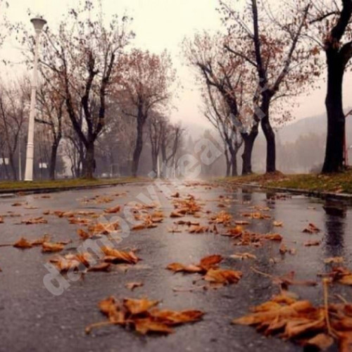 Vreme mai rece și ploi în Muntenia în primele zile ale lunii octombrie 2025