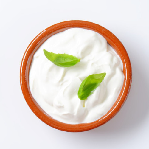 Fermentarea laptelui cu furnici: o tradiție balcanică explorată de cercetătorii danezi