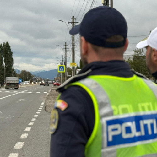 Tineri prinși la volan fără permis sau sub influența alcoolului în Neamț