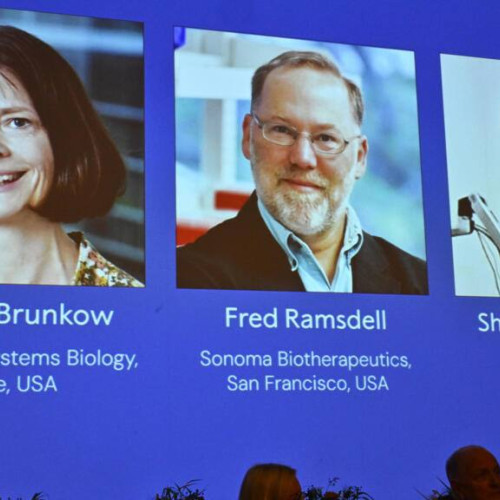 Premiul Nobel pentru cercetarea celulelor T reglatoare în sistemul imunitar