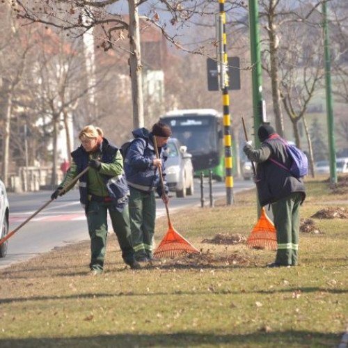 Brașovul începe din timp campania de curățenie de toamnă și colectare a deșeurilor voluminoase
