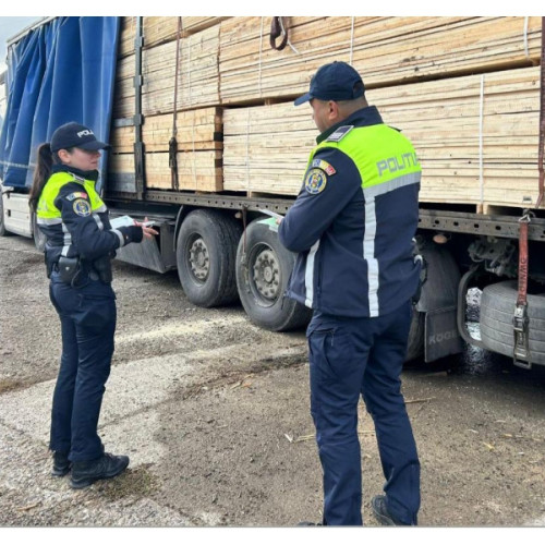 Poliția din Neamț a confiscat material lemnos în mai multe acțiuni recente