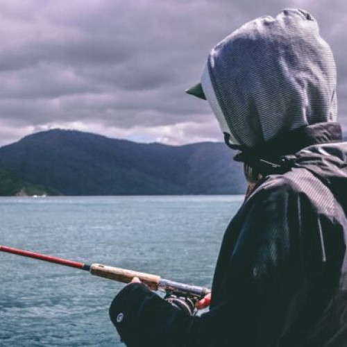 Firul subțire, cheia feedback-ului fidel în pescuitul la feeder