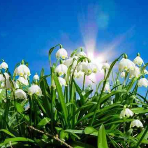 Prognoza meteo pentru luna martie: temperaturi ridicate, media precipitațiilor apropiată de normal