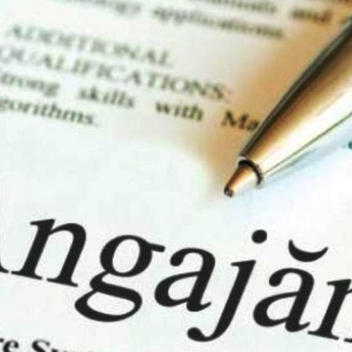 AJOFM Botoșani oferă 300 de locuri de muncă vacante pentru diferite calificări