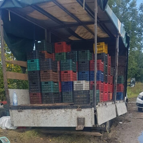 Comerciant amendat de două ori în două zile pentru vânzare ilegală de struguri la Brașov